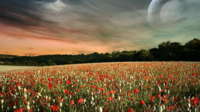 做引体向上可能会诱发腰肌劳损吗？